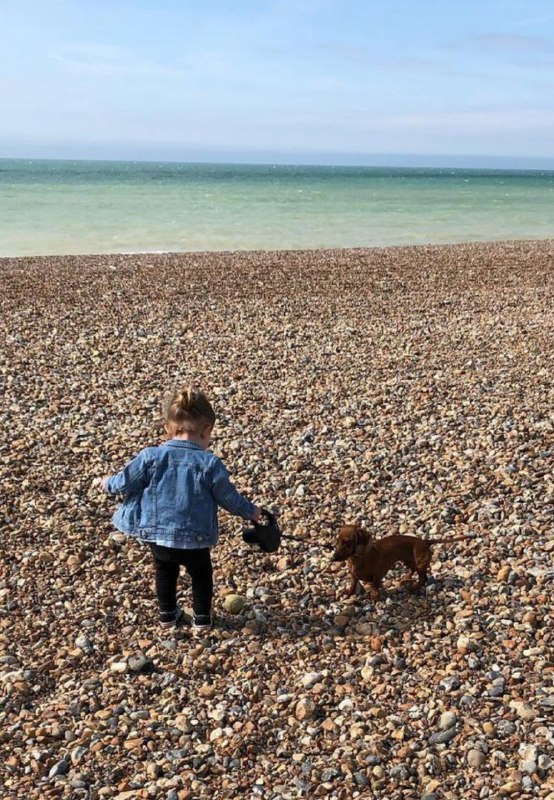 15 Reasons Why You Should Never Own Dachshunds 10