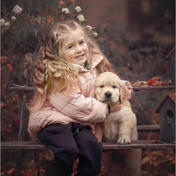 15 Cool Facts About Golden Retrievers 11