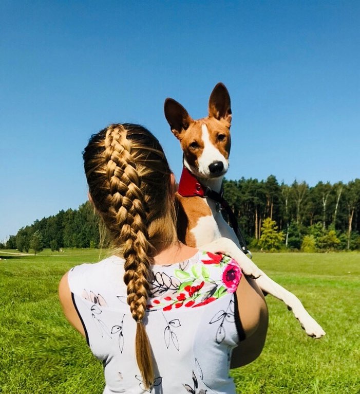 16 Basenji Pics That’ll Keep You Smiling 11