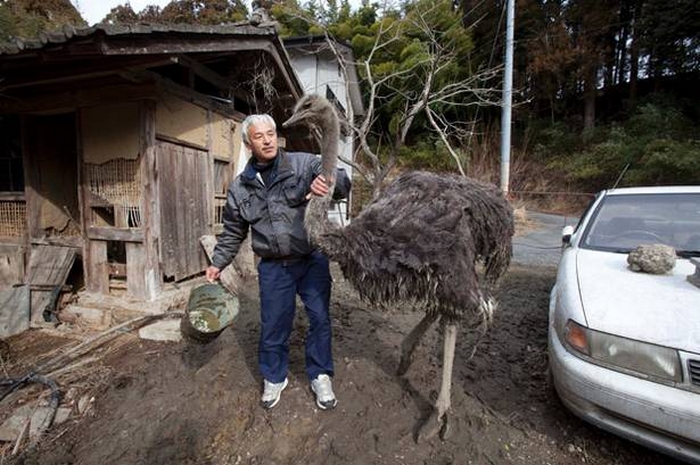 Naoto Matsumura: the Loneliest and Most Radioactive Japanese Farmer 12