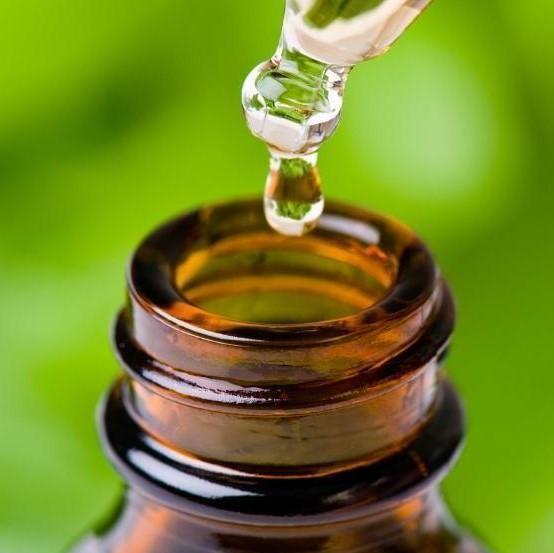 Natural Medicine: Is Tea Tree Oil Toxic To Dogs? 9