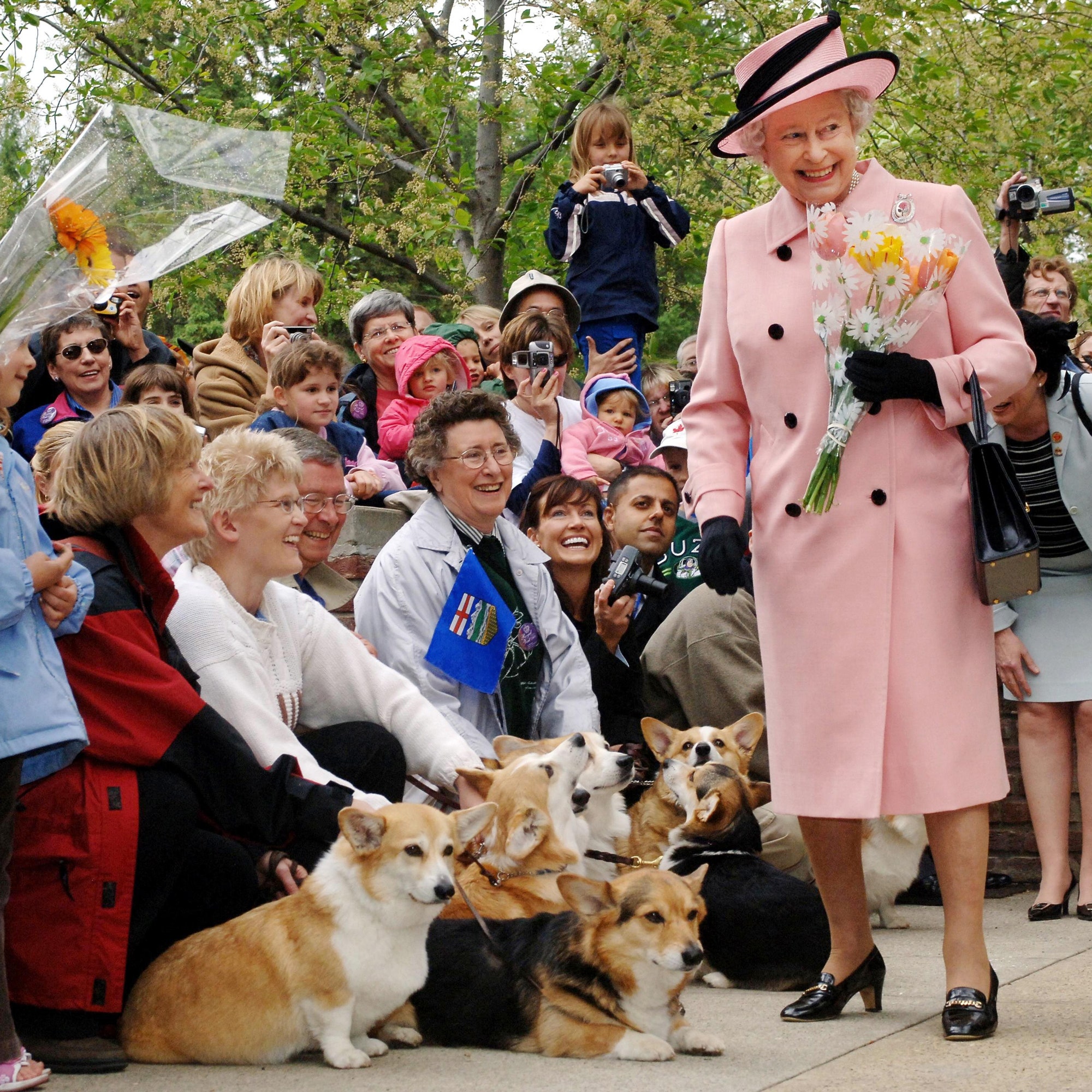 A Panorama of The Queen and Royal Corgis 52