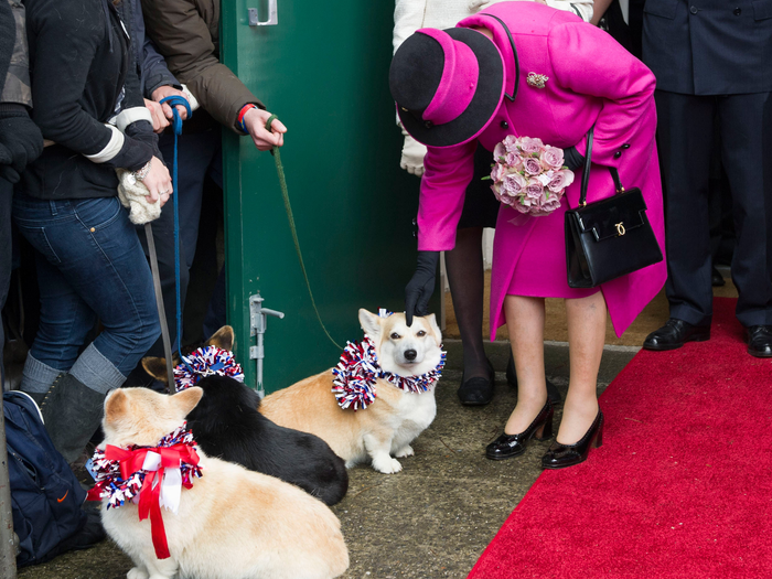 A Panorama of The Queen and Royal Corgis 49