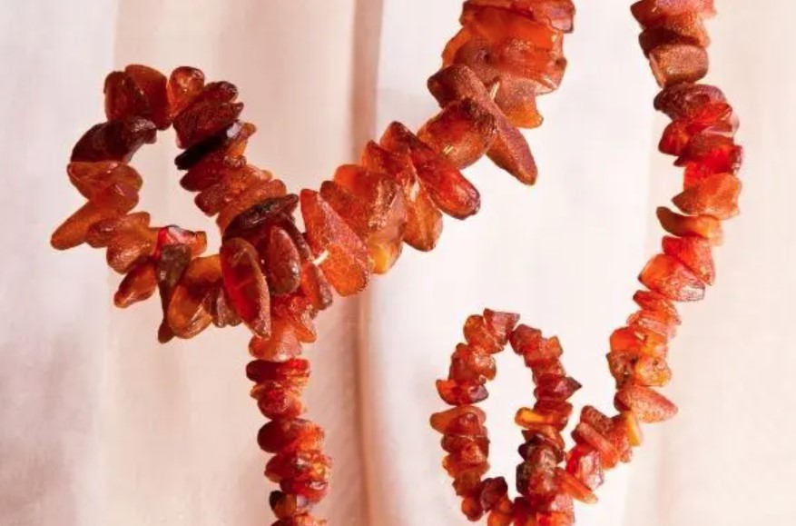 Amber Necklace for the Dog 12