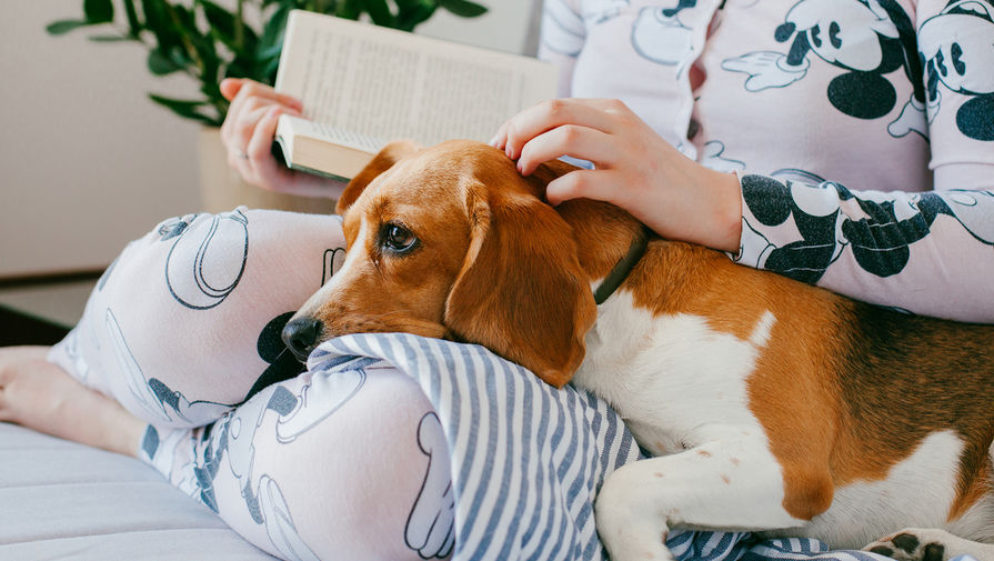 Megaesophagus in the Dog 14 Megaesophagus in the Dog 14