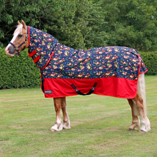What to Consider When Choosing a Horse Rug for Australian Conditions 5