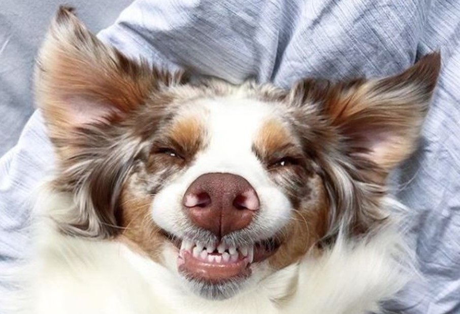 Broken Tooth 10 Broken Tooth 10