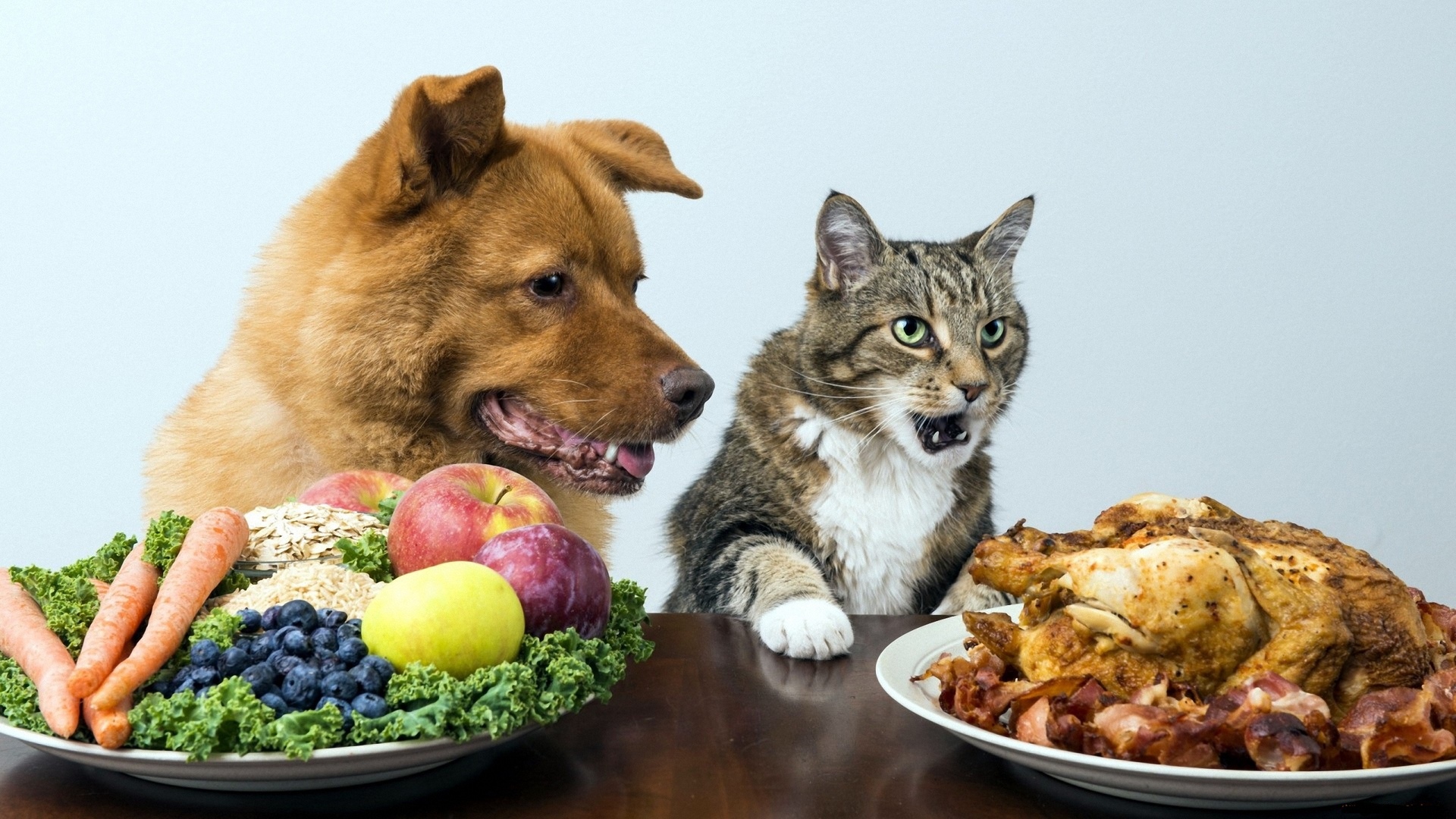 Toxic Food for Pets 9