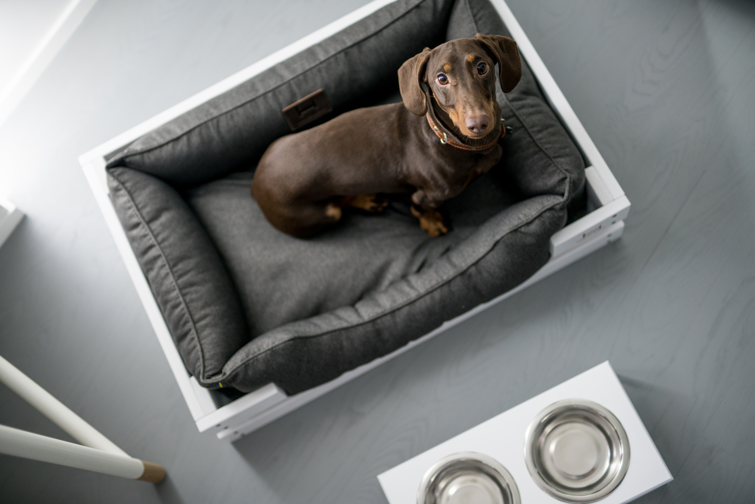 Orthopedic Dog Bed - Healthy and Ergonomic Sleeping Comfort for Your Dog 12