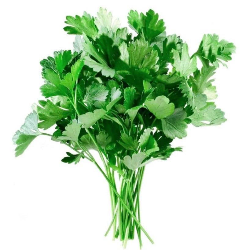 Medicinal Herbs for the Dog – a Fit Start Into Spring 26 Medicinal Herbs for the Dog – a Fit Start Into Spring 26