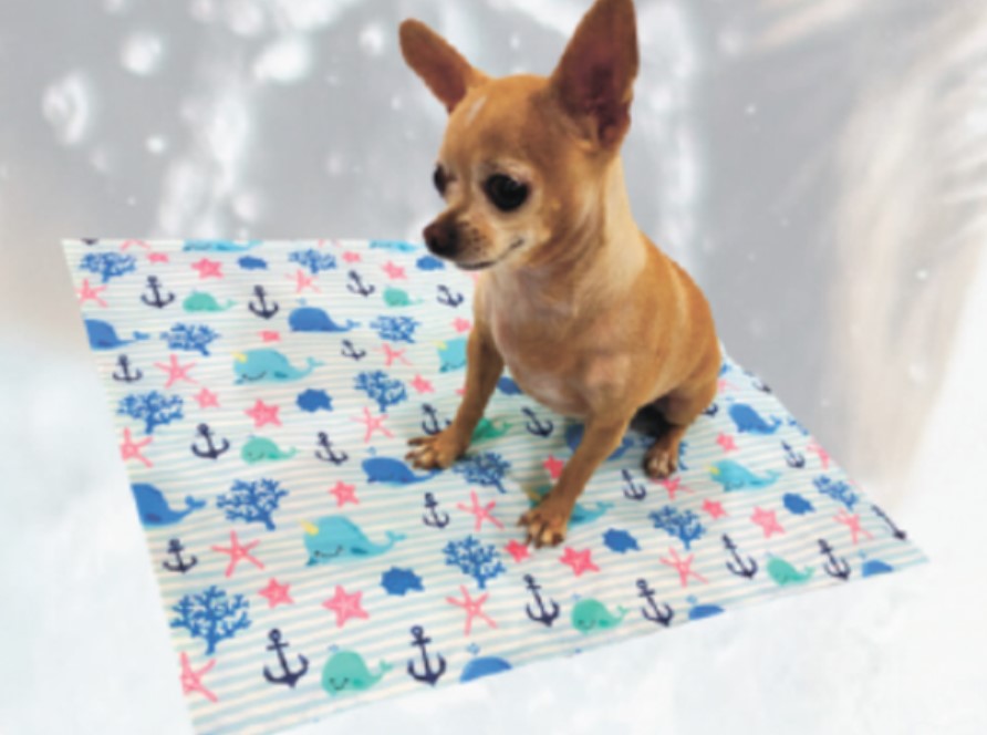 Toxic or Not? Everything You Need to Know About Gel Cooling Mats for Dogs 14
