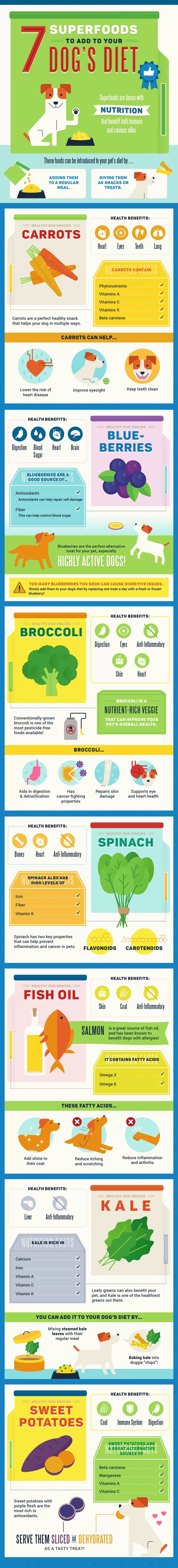 Dog Nutrition: Guide to Dog Food Nutrients 9