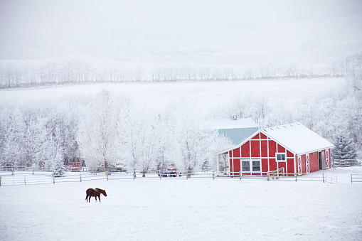 How to Prepare Your Horse Stable for Winter 5