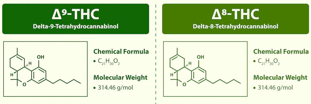 The Different Ways to Consume Delta 8 THC