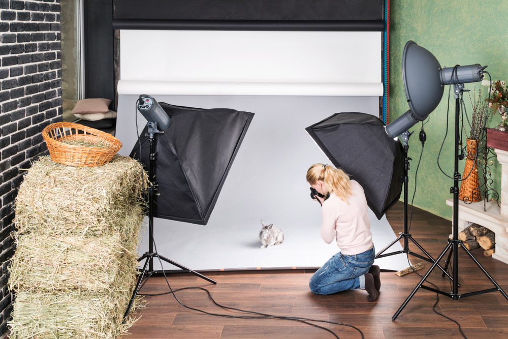 Best Ventilation Systems for Pet Photography Studios and Pet Grooming Salons 8