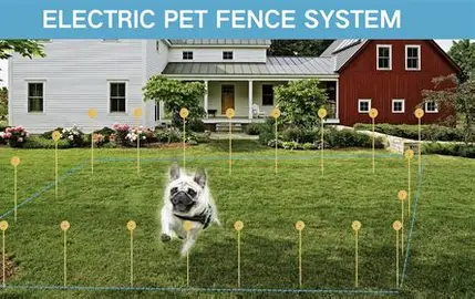 Electric Fence for Dogs on Uneven Ground: What You Need to Know Before You Start 3 Electric Fence for Dogs on Uneven Ground: What You Need to Know Before You Start 3