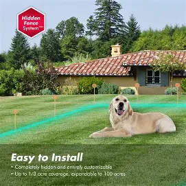Electric Fence for Dogs on Uneven Ground: What You Need to Know Before You Start 1