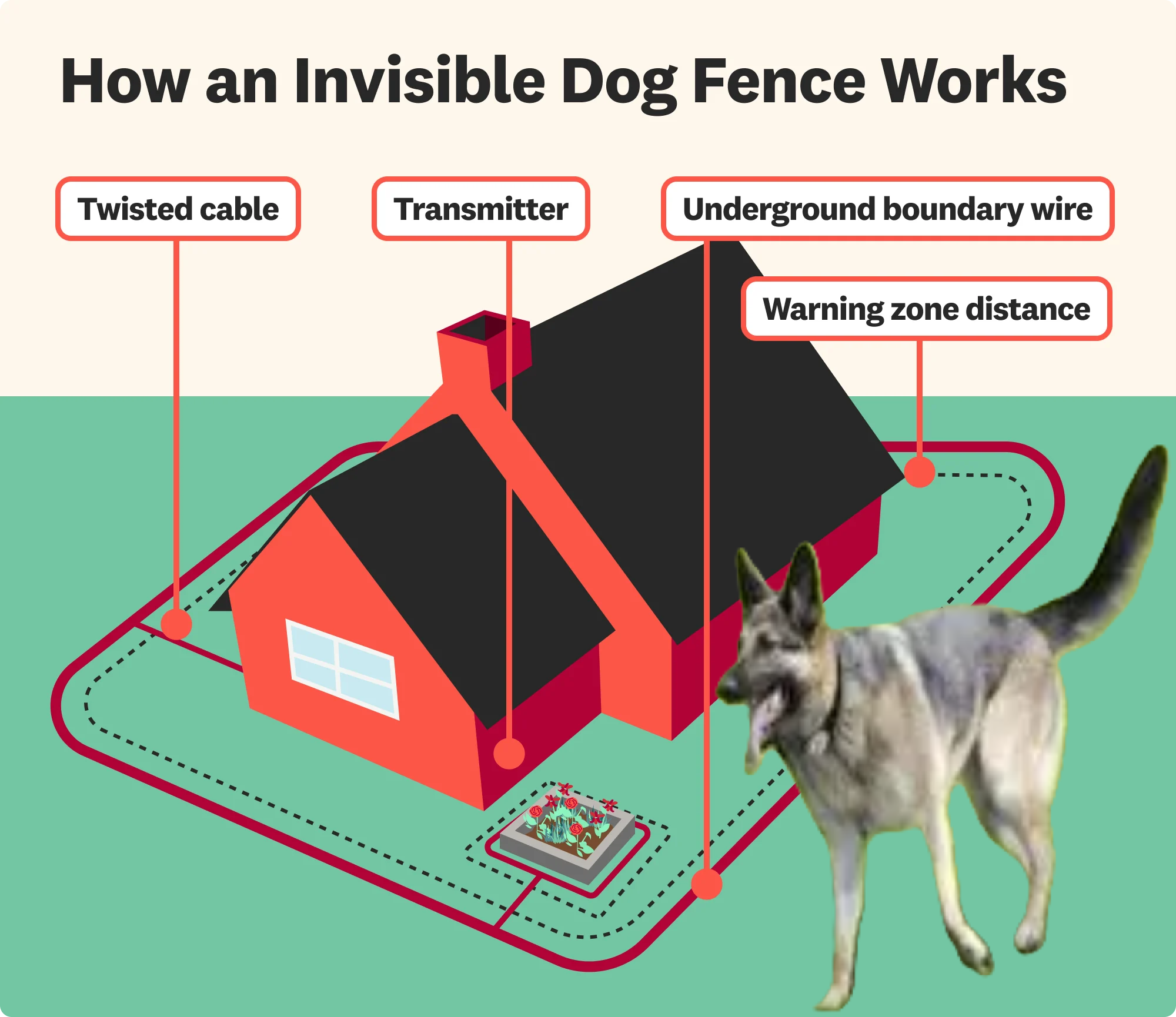Electric Fence for Dogs on Uneven Ground: What You Need to Know Before You Start